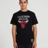 MITCHELL & NESS T-SHIRT DISTRESSED LOGO CHICAGO BULLS -Fitness Gear Store 1000090727 001 Zoom 1 Front