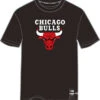 NBA T-SHIRT TEAM LOGO MENS CHICAGO BULLS