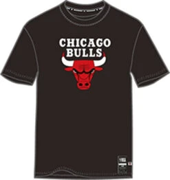 NBA T-SHIRT TEAM LOGO MENS CHICAGO BULLS