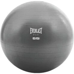 EVERLAST CORE STRENGTH 55CM BALL