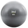 EVERLAST CRE STRENGTH 65CM BALL