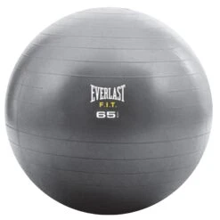 EVERLAST CRE STRENGTH 65CM BALL