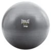EVERLAST CORE STRENGTH BALL 75CM -Fitness Gear Store 75cm