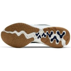 NIKE RENEW RUN MENS RUNNING SHOE -Fitness Gear Store CK6357 008 PHSUH000