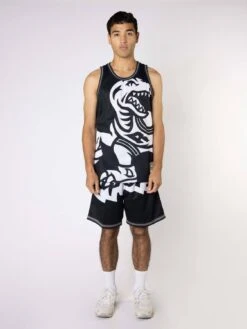MITCHELL & NESS TORONTO RAPTORS BIG FACE SWINGMAN JERSEY